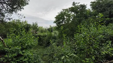  Land in Leobersdorf, Austria No. 202206