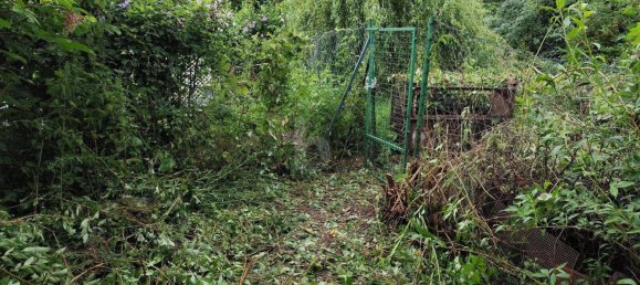 Land in Leobersdorf, Austria No. 202206 3