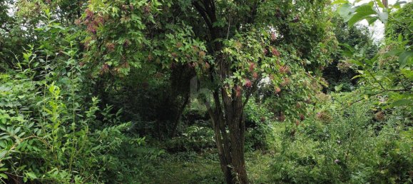 Land in Leobersdorf, Austria No. 202206 2