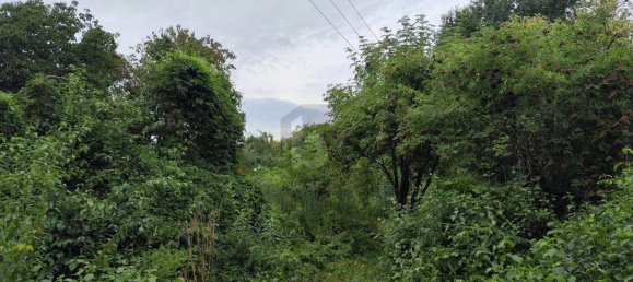 Land in Leobersdorf, Austria No. 202206 5