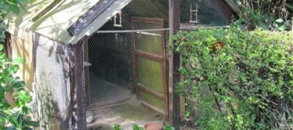 Бунгало с 5 спальнями в Рейн-Лан, Германия № 165173 7