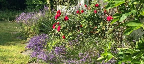 Бунгало с 5 спальнями в Рейн-Лан, Германия № 165173 4