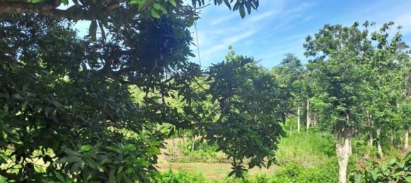 Grundstück in South Kuta, Indonesia 3000m², Nr. 3977 3