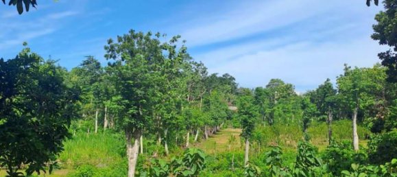 Grundstück in South Kuta, Indonesia 3000m², Nr. 3977 2