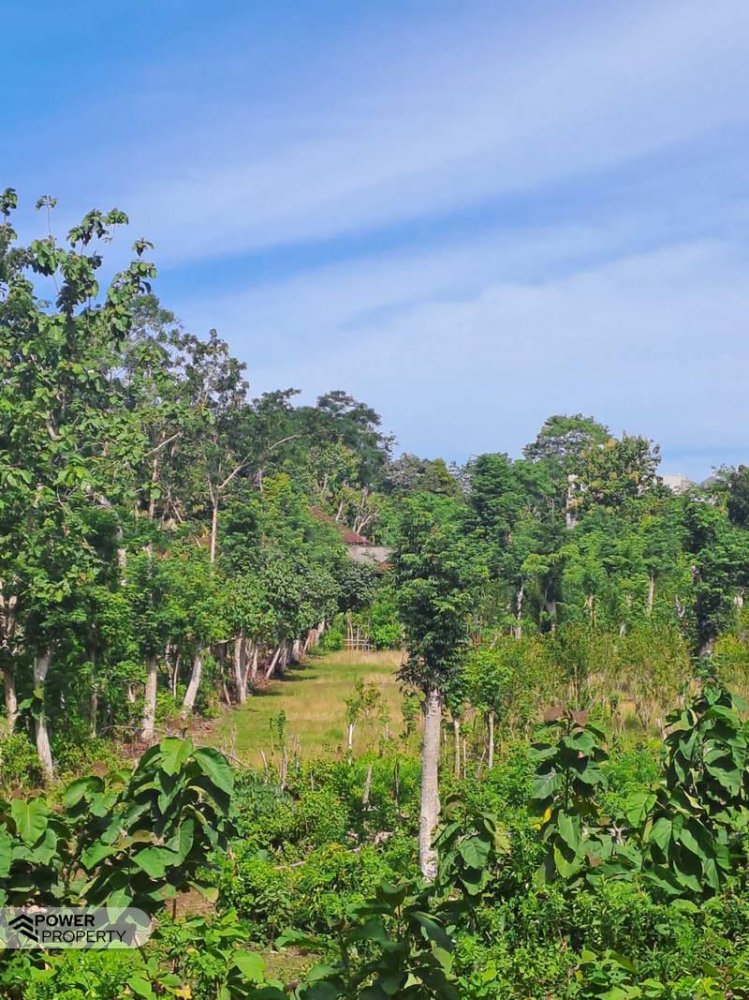 Grundstück in South Kuta, Indonesia 3000m², Nr. 3977
