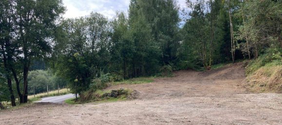 7 rooms House in Cham, Germany No. 358424 7