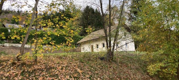 7 rooms House in Cham, Germany No. 358424 3