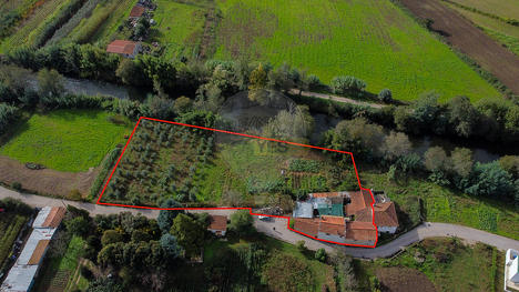 1 bedroom House in Lousa, Portugal No. 36822