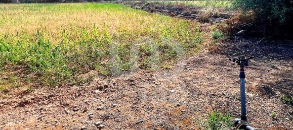 8442m² Land in Tarragona, Spain No. 165752 6