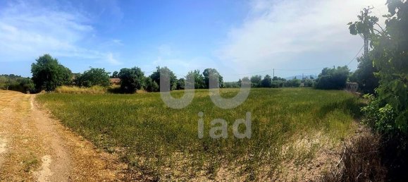 8442m² Land in Tarragona, Spain No. 165752 10
