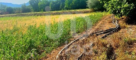 8442m² Land in Tarragona, Spain No. 165752 5