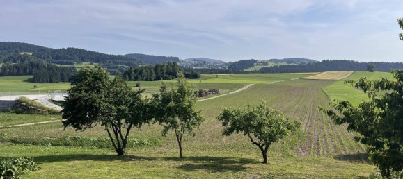 3 bedrooms House in Nebelberg, Austria No. 157561 3