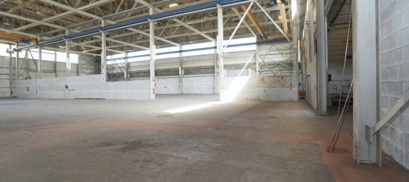 Коммерческая недвижимость 4907м² в Арнольдштайн, Австрия № 137150 17