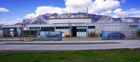 Коммерческая недвижимость 4907м² в Арнольдштайн, Австрия № 137150 32