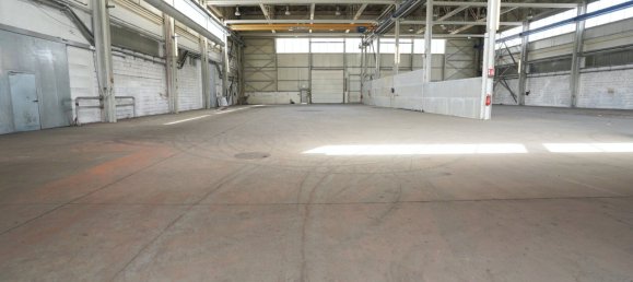 Коммерческая недвижимость 4907м² в Арнольдштайн, Австрия № 137150 18