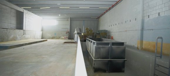 Коммерческая недвижимость 4907м² в Арнольдштайн, Австрия № 137150 25