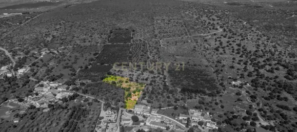 3 غرف نوم فيلا في Alte, Portugal رقم 107486 35