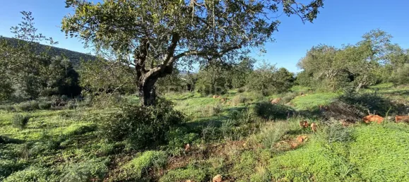 3 غرف نوم فيلا في Alte, Portugal رقم 107486 41