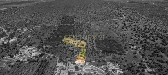 3 غرف نوم فيلا في Alte, Portugal رقم 107486 36