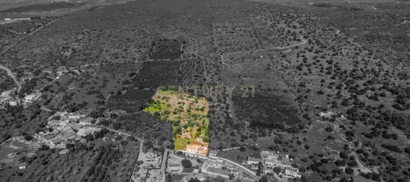 3 غرف نوم فيلا في Alte, Portugal رقم 107486 37