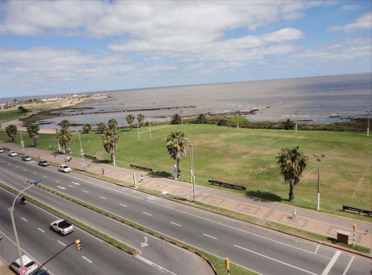 3 غرف نوم شقة في Montevideo, Uruguay رقم 12513