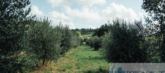 7 rooms House in Casciana Terme Lari, Italy No. 238613 16