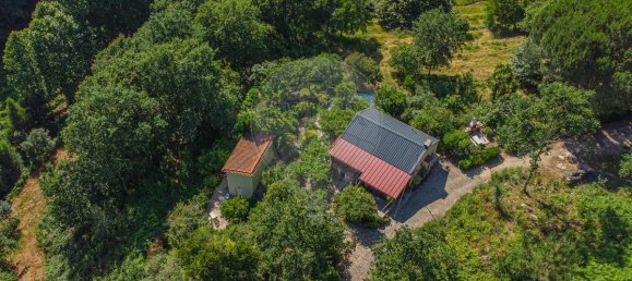 9 Schlafzimmer Haus in Penafiel, Portugal, Nr. 60098 3