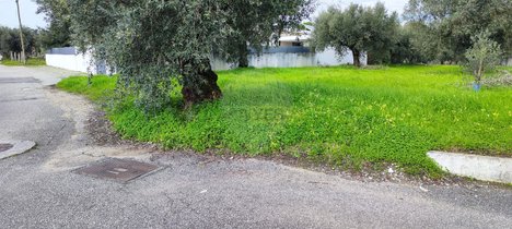  Land in Coimbra, Portugal No. 85168