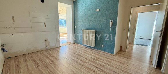 7 rooms Townhouse in Zweibrucken, Germany No. 11796 6