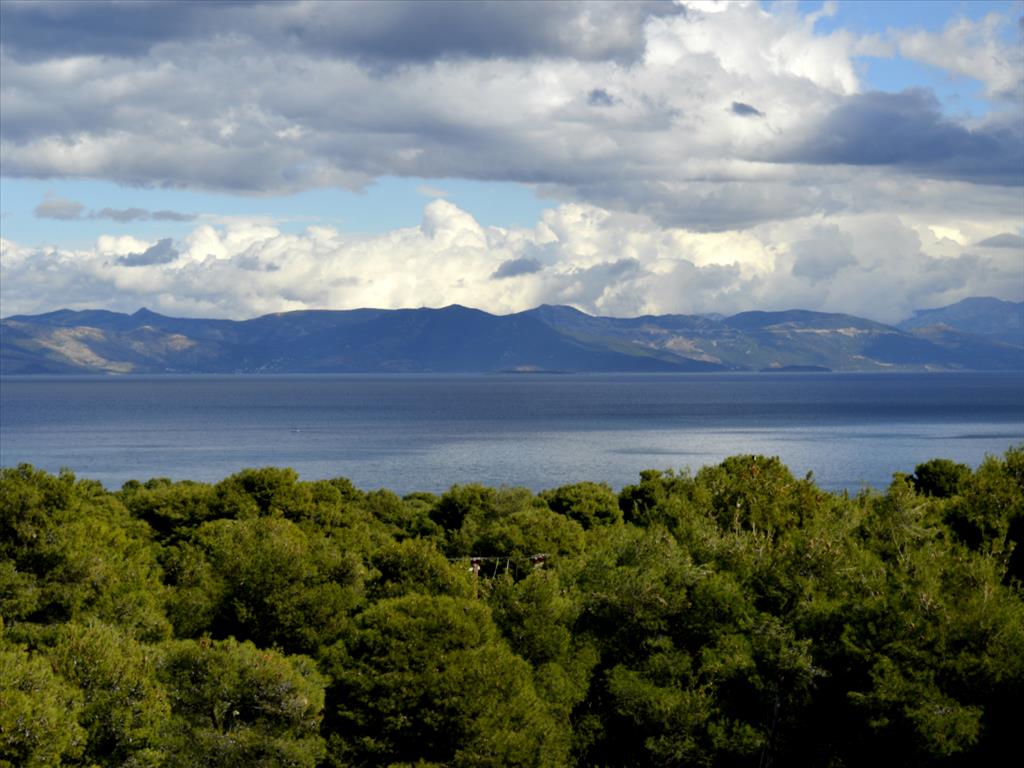 5 chambres Propriété commerciale à Marathon, Greece No. 5830