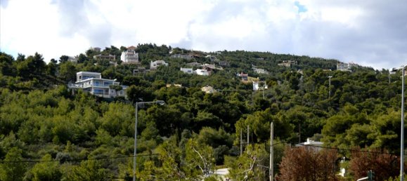 5 chambres Propriété commerciale à Marathon, Greece No. 5830 7