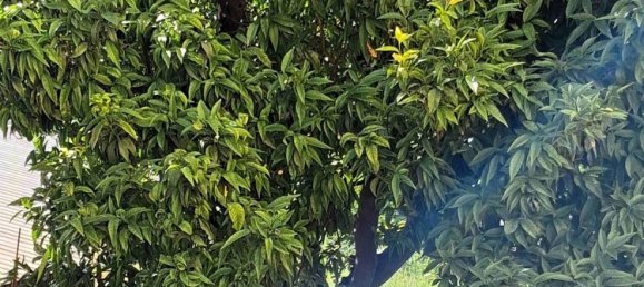 2 rooms Apartment in Ariccia, Italy No. 280188 13