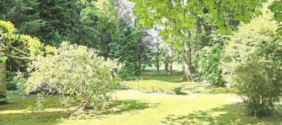 Café / restaurante de 8 divisões em Nordfriesland, Germany N.º 69399 10