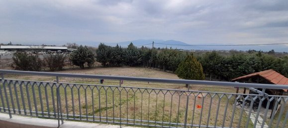 Gewerbliche Immobilie in Euboea, Greece 220m², Nr. 3258 7