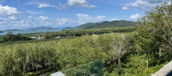 5 غرف نوم فيلا في Pa Klok, Thailand رقم 64164 2