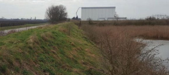 Grundstück in San Pietro in Casale, Italy 291943m², Nr. 17708 4