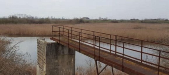 Grundstück in San Pietro in Casale, Italy 291943m², Nr. 17708 3