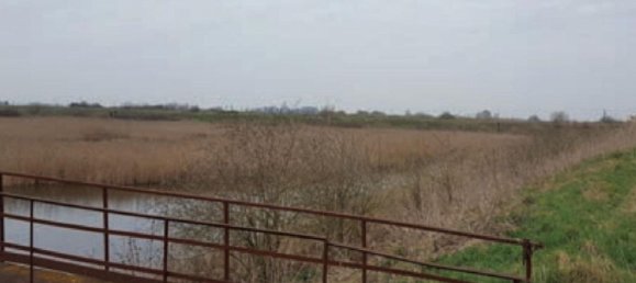 Grundstück in San Pietro in Casale, Italy 291943m², Nr. 17708 2