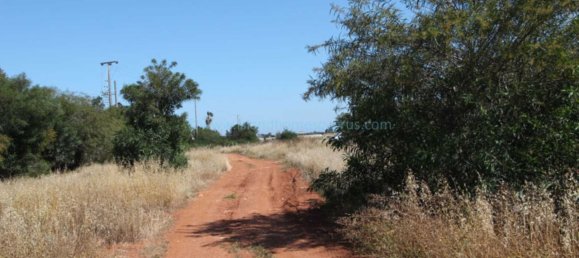  Villa in Avgorou, Cyprus No. 24089 4