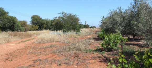  Villa in Avgorou, Cyprus No. 24089 3