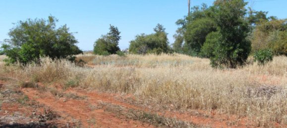  Villa in Avgorou, Cyprus No. 24089 2