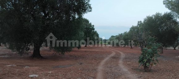 Terreno em Sava, Italy 8000 m² N.º 343626 2