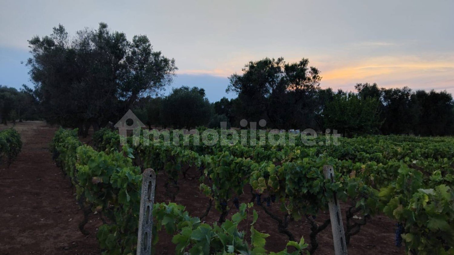 Terreno em Sava, Italy 8000 m² N.º 343626