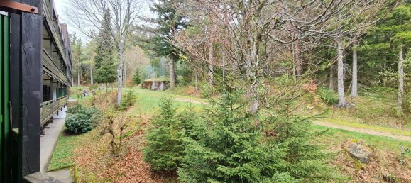 2غرفة شقة في Schwarzwald-Baar-Kreis, Germany رقم 37879 14