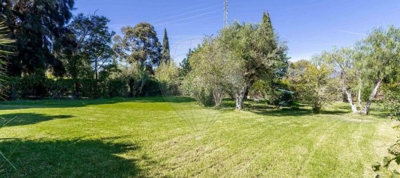 Villa de 4 dormitorios en Mexilhoeira Grande, Portugal No. 30425 29