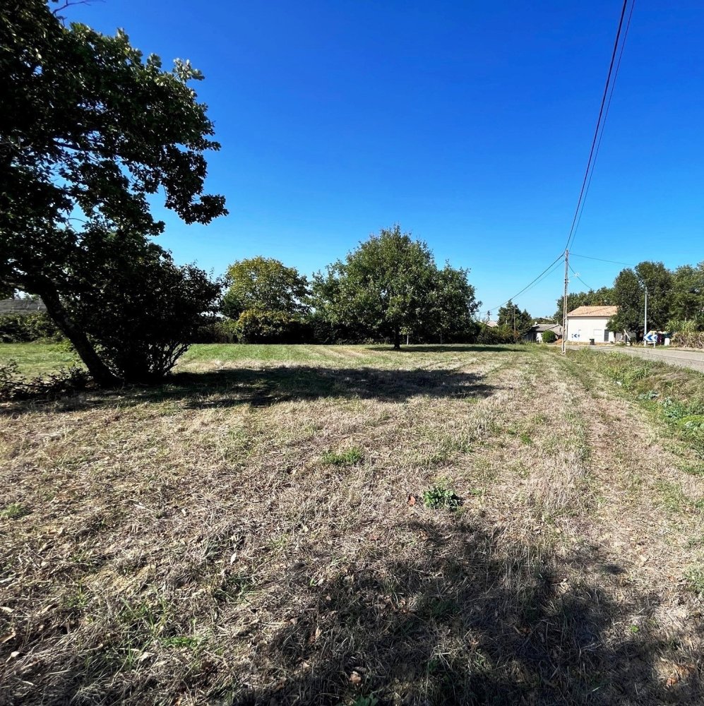  Land in Montbartier, France No. 61541