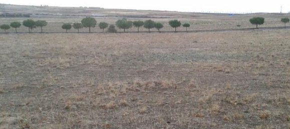 Земельный участок в Вильямайор, Испания № 58467 6