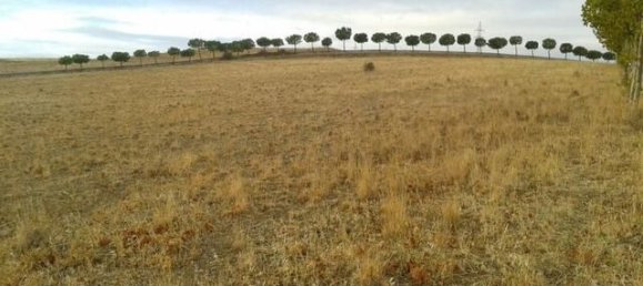 Земельный участок в Вильямайор, Испания № 58467 5