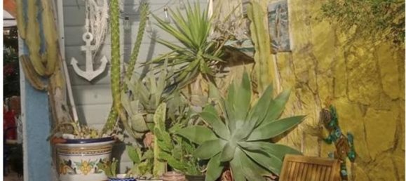 3 Schlafzimmer Villa in Denia, Spain, Nr. 188277 10