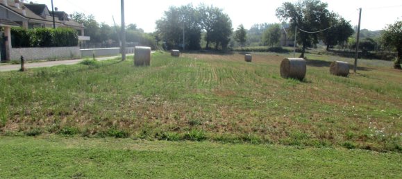 4-Zimmer Haus in Ripi, Italy, Nr. 263877 29